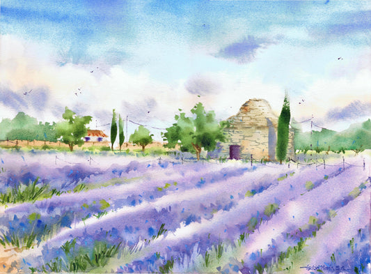 Campos de lavanda acuarela original