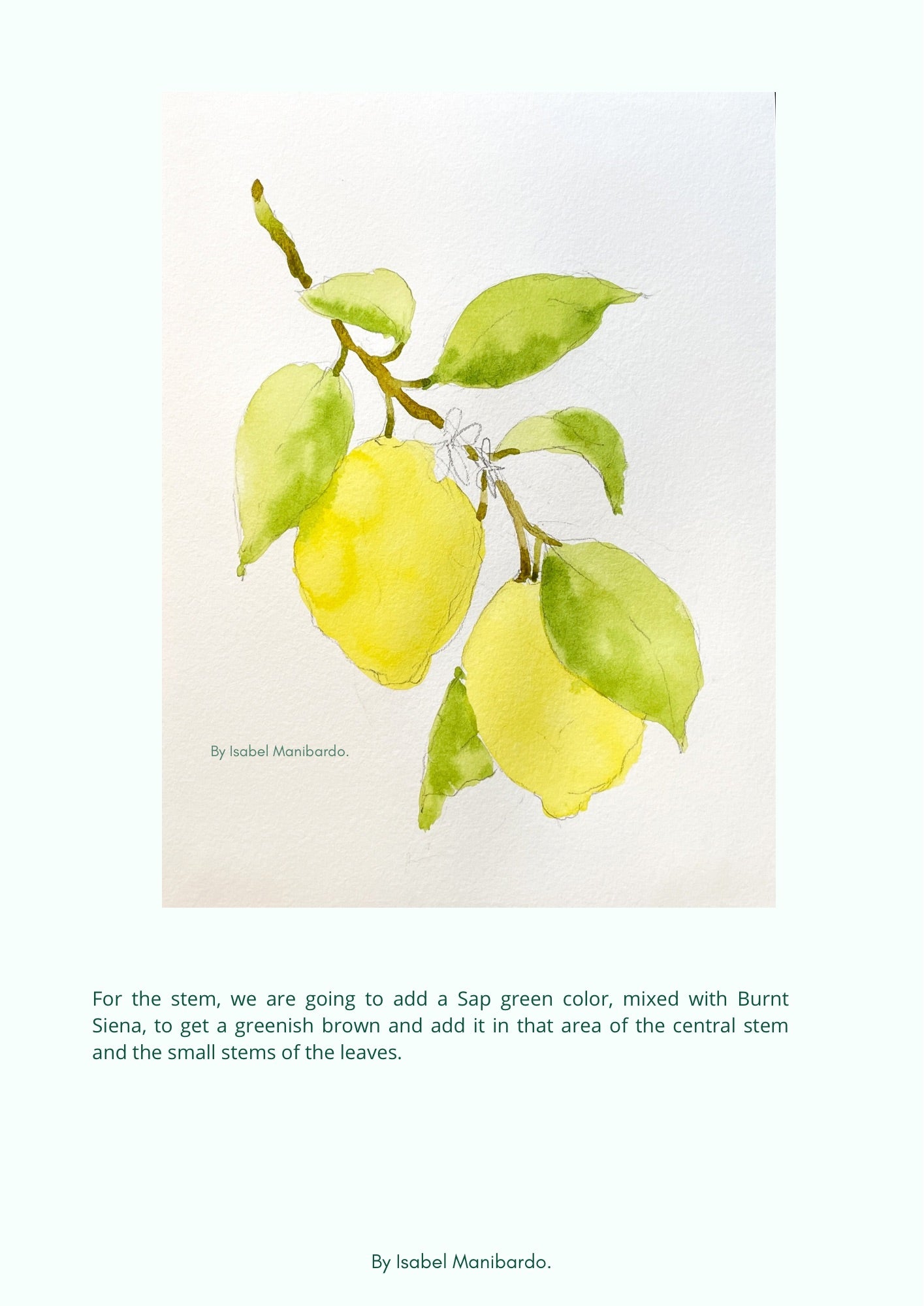 Lemons Branch Tutorial Step by Step painting downloadable PDF, watercolour tutorial, botanical art guide, Fruit illustration tutorial