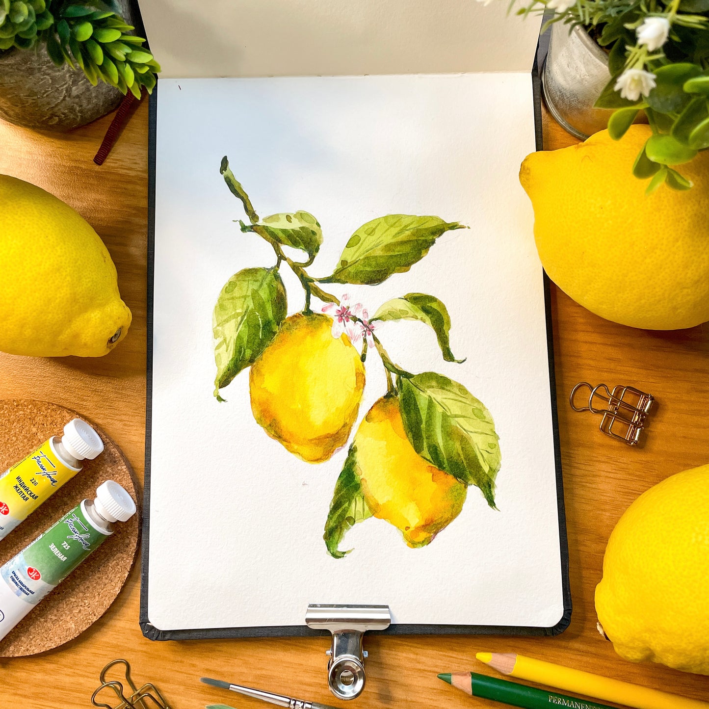 Lemons Branch Tutorial Step by Step painting downloadable PDF, watercolour tutorial, botanical art guide, Fruit illustration tutorial