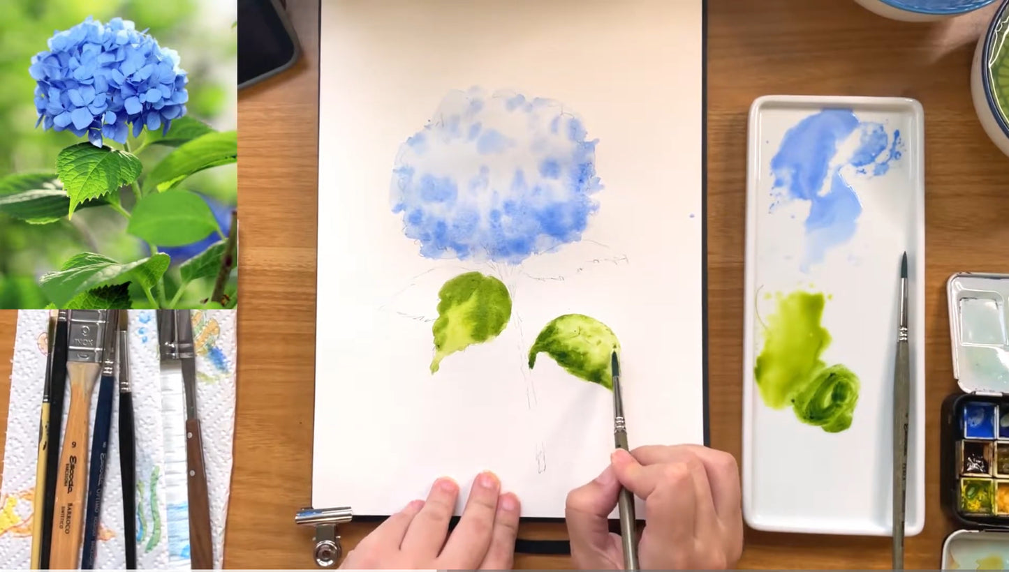 Hydrangea Tutorial VIDEO watercolour flower Step by Step painting, SPANISH Audio English Subtitles, Flowers tutorial, botanical illustration