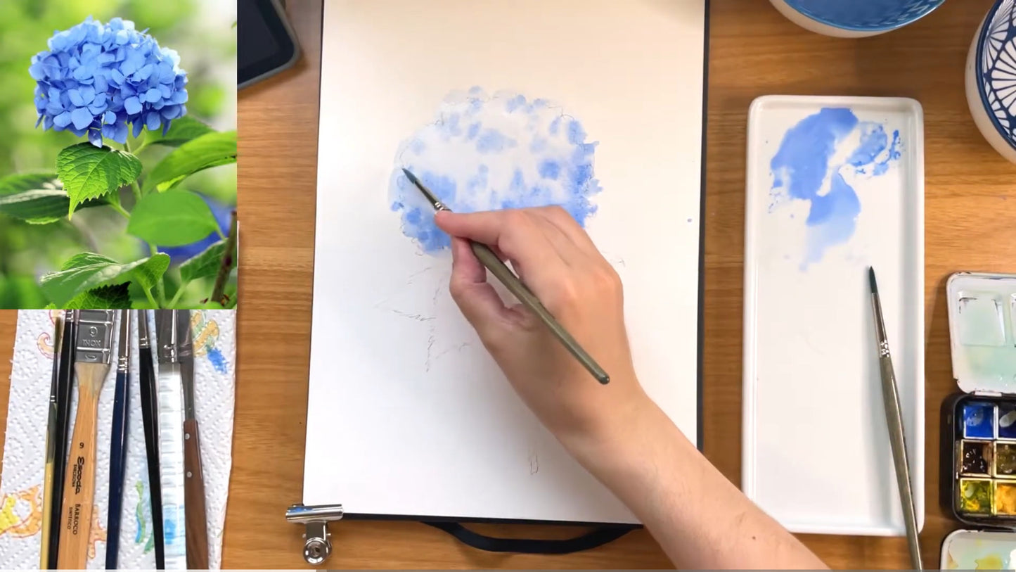 Hydrangea Tutorial VIDEO watercolour flower Step by Step painting, SPANISH Audio English Subtitles, Flowers tutorial, botanical illustration