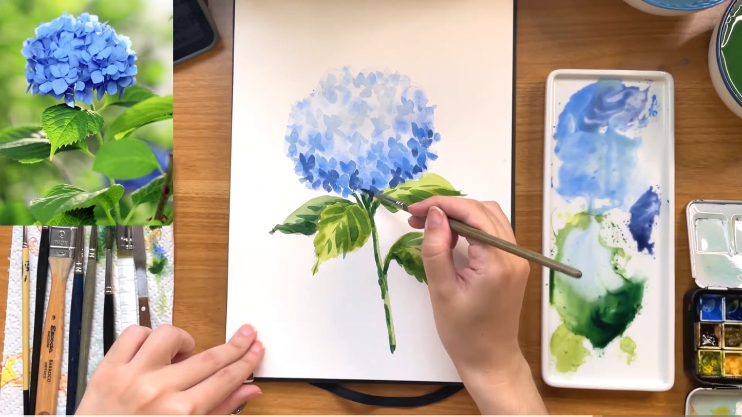 Hydrangea Tutorial VIDEO watercolour flower Step by Step painting, SPANISH Audio English Subtitles, Flowers tutorial, botanical illustration