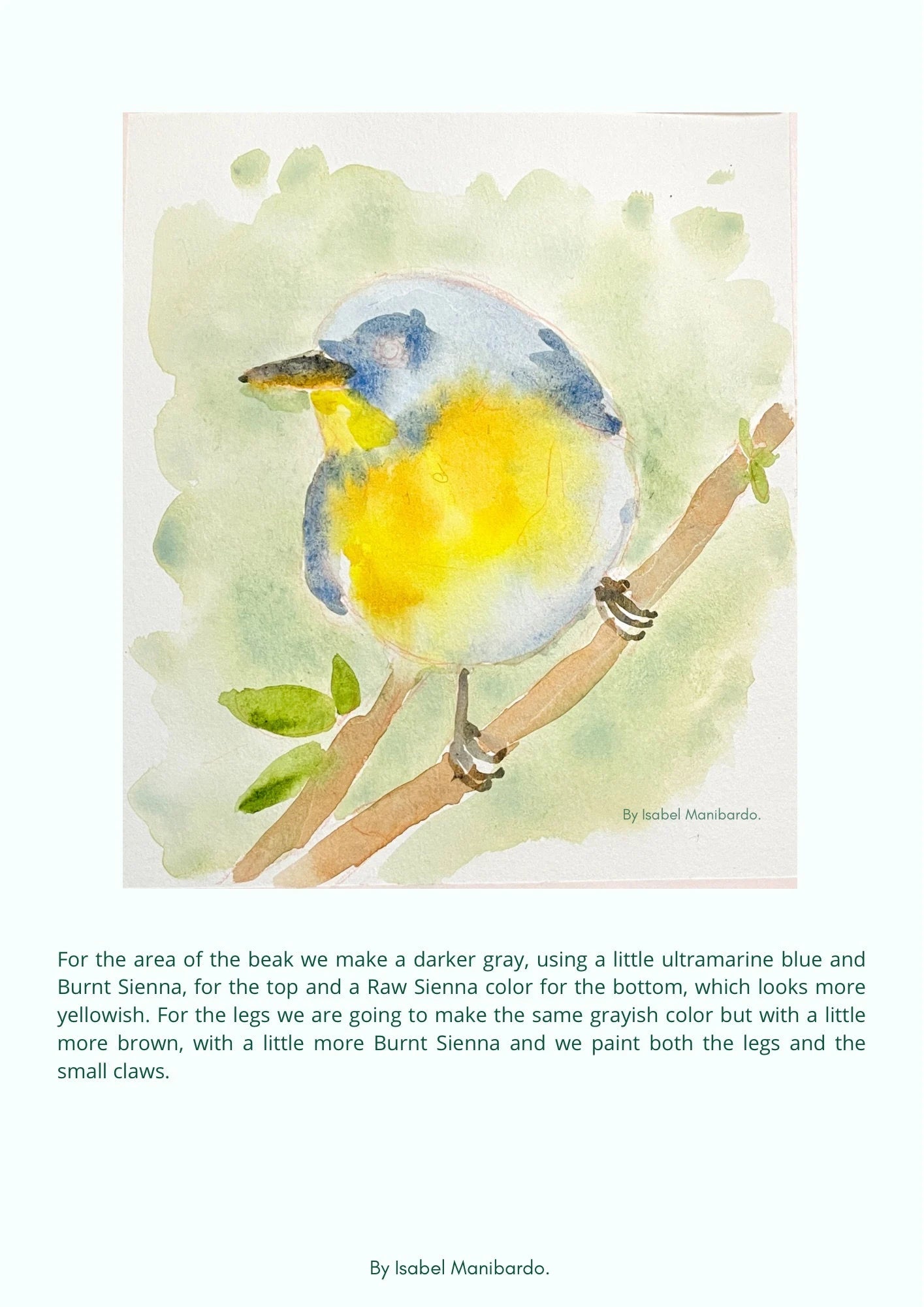 Watercolor Bird Tutorial Step by Step painting downloadable PDF, painting tutorial, bird illustration tutorial, beginners guide watercolour,