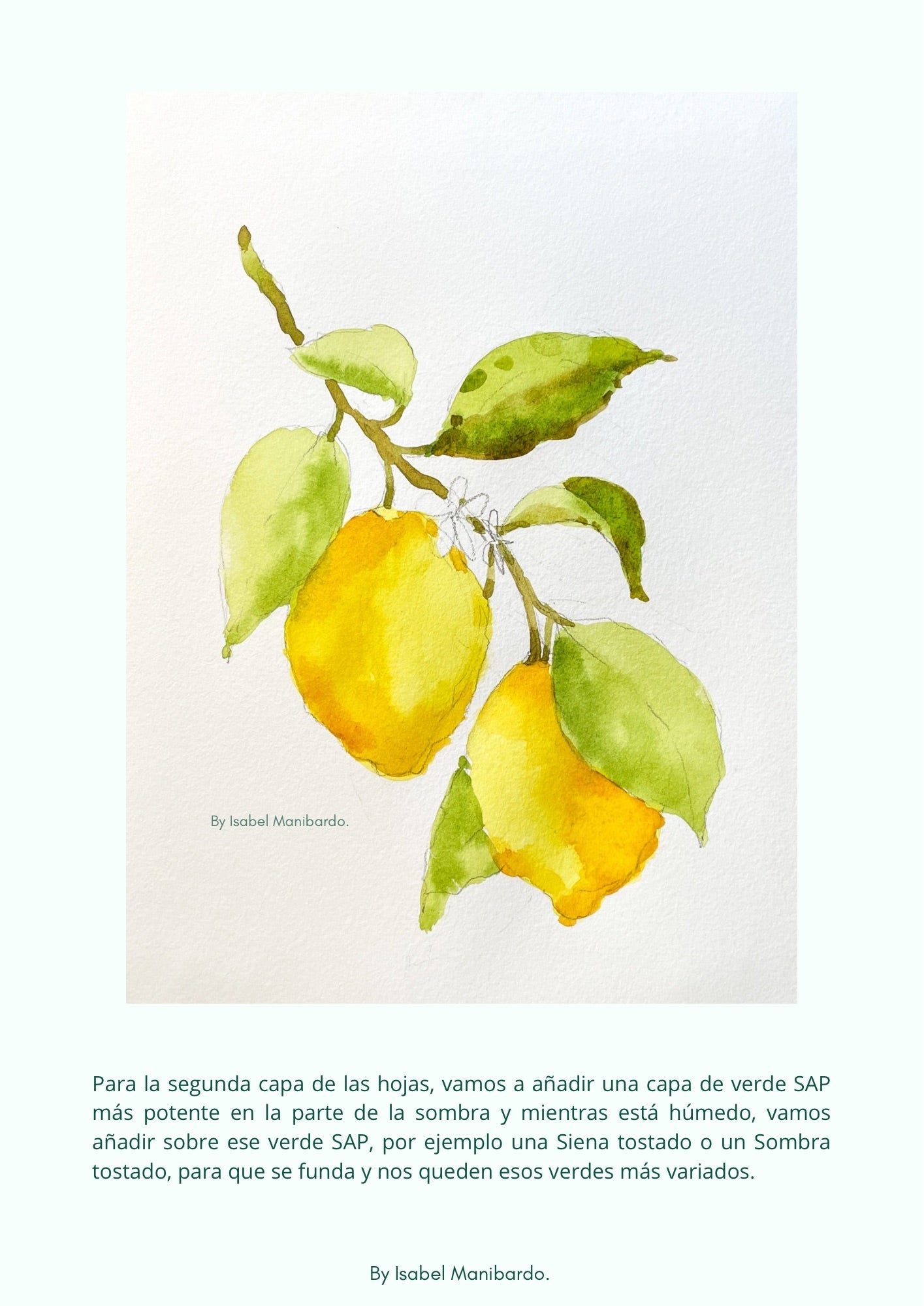 Lemons Branch Tutorial Step by Step painting downloadable PDF, watercolour tutorial, botanical art guide, Fruit illustration tutorial